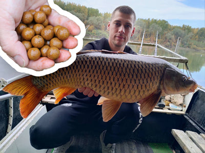 Pecanje Šarana Na Boile 🎣