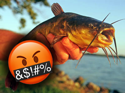 Kako izbeći cverglana? (patuljasti som, amerikanac) 😡