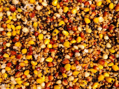 Kako Pravilno Spremiti Spod Mix? 🌽🌰🌻