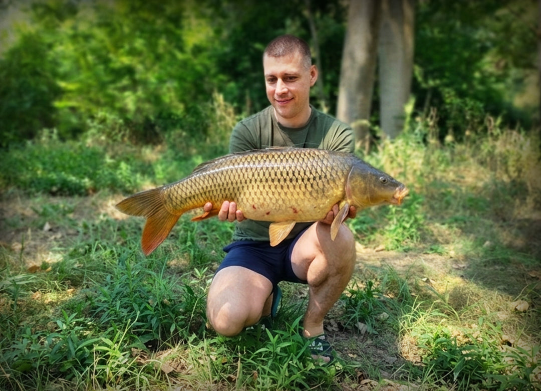 Pecanje Šarana Leti