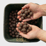 Boilies River Gammarus