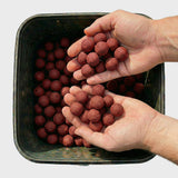 Boilies Strawberry