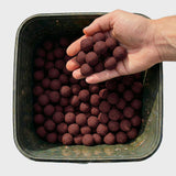 Boilies Strawberry & Salmon